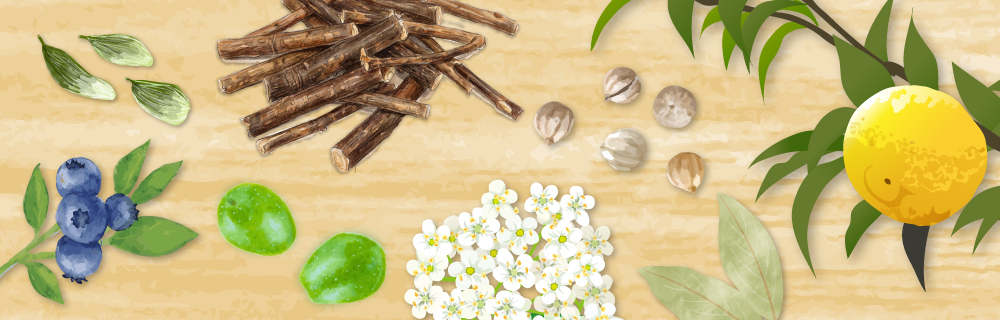 8種類のボタニカル